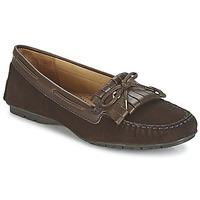 Sebago MERIDEN KILTIE women\'s Loafers / Casual Shoes in brown