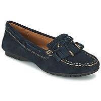 Sebago MERIDEN KILTIE women\'s Loafers / Casual Shoes in blue