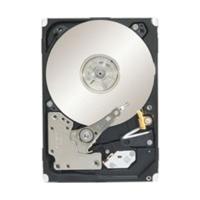 Seagate Constellation.2 SAS 500GB (ST9500620SS)