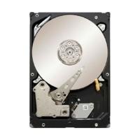 Seagate Constellation.2 SAS 1TB (ST91000640SS)