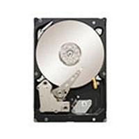 Seagate Constellation SATA 500GB (ST9500530NS)