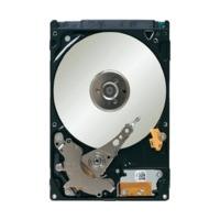 seagate constellation2 sata 1tb st91000640ns