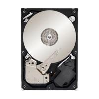 Seagate Pipeline HD SATA II 250GB (ST3250312CS)