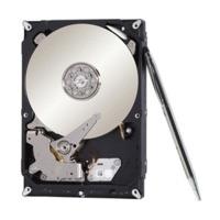 Seagate NAS HDD 2TB (ST2000VN000)