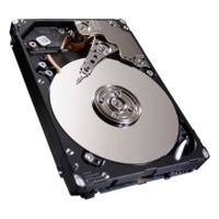 Seagate Savvio 10K.6 SED 300GB (ST300MM0026)