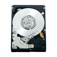 Seagate Savvio 15K.3 SAS 300GB (ST9300653SS)