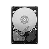 Seagate Pipeline HD 500GB (ST3500312CS)