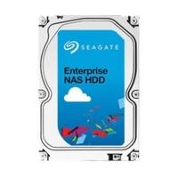 Seagate Enterprise NAS SATA 6TB (ST6000VN0011)