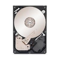 Seagate Surveillance SATA 3TB (ST3000VX006)