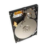 Seagate Momentus SATA II 1TB (STBD1000200)