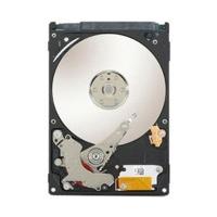 Seagate Video 2.5 HDD SATA 320GB (ST320VT000)