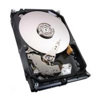 Seagate NAS HDD SATA III 4TB (ST4000VN000)