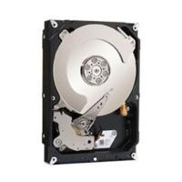 Seagate Terascale SATA III ISE 4TB (ST4000NC000)