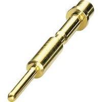 SF-6AP2000 Phoenix Contact