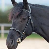 Shires Fancy Stitched In Hand Bridle