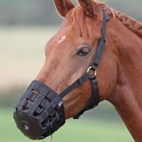 shires nylon grass muzzle