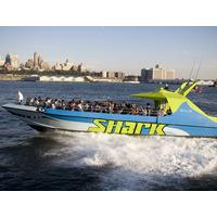 Shark Speedboat Ride New York