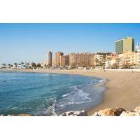 Shore excursion: Costa del Sol V...