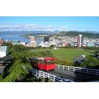 Shore Excursion: Wellington Highlights Half-Day Small-Group Tour