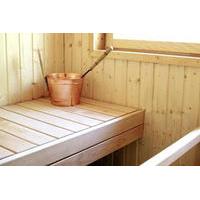 shared sauna experience in helsinki including transport