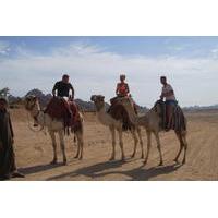 Sharm El Sheikh Camel Safari