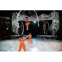 Shanghai Circus World: ERA Intersection of Time Acrobatics Show