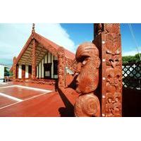 Shore Excursion: Rotorua City Hop-On Hop-Off Tour from Tauranga
