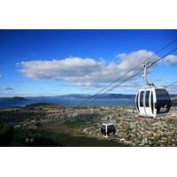 shore excursion skyline rotorua from tauranga