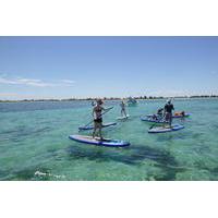 Shoalwater Stand Up Paddleboarding Lesson and Tour