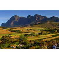 Shore Excursion: Private Stellenbosch Winelands Taste Tour from Cape Town