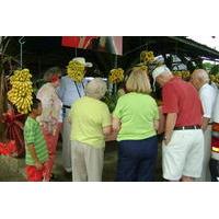 Shore Excursion: Limon Highlight...