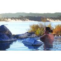 shore excursion rotorua including te puia and polynesian spa from taur ...