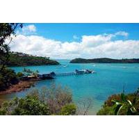 shared departure transfer airlie beach or shute harbour hotels to pros ...