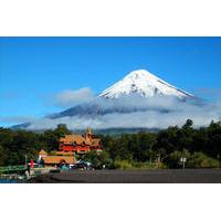 Shore Excursion: Osorno Volcano Private Tour from Puerto Montt
