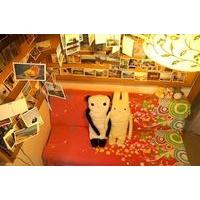 Shenzhen Big Footprint Youth Hos...