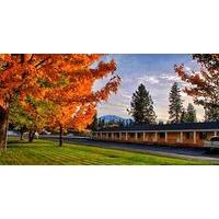 shasta pines motel suites