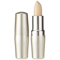 Shiseido The Skincare Protective Lip Conditioner 4g