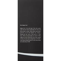 êShave Silvertip Badger Hair Shaving Brush, White