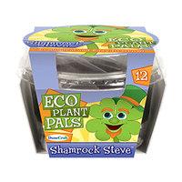 Shamrock Steve Eco Plant Pal