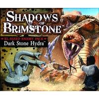 Shadows Of Brimstone Dark Stone Hydra XL Sized Enemy Pack