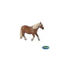 Shetland Pony - Equidae - Papo