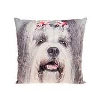 shihtsu photo cushion