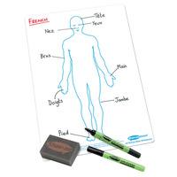 Show-me A4 White Board Human Body Pack of 35 Boards, Pens & Erasers