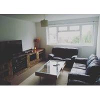 Short term let in friendly flat share