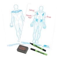 Show-Me A4 White Board Human Muscle Pack of 100 Boards, Pens & Erasers