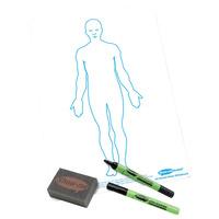 show me a4 white board human body pack of 100 boards pens amp erasers