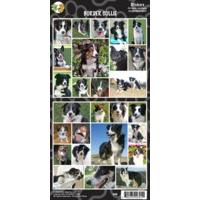 Sheet Of 27 Border Collie Stickers