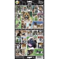 sheet of 27 akita dog stickers