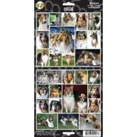 Sheet Of 27 Collie Stickers