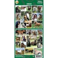 Sheet Of 27 Horse Stickers